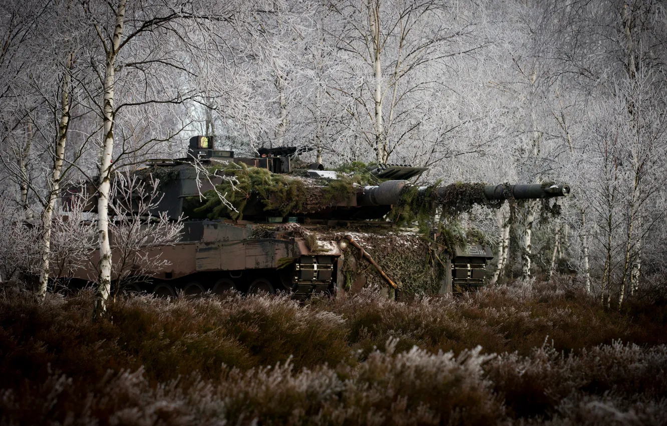 Фото обои лес, трава, деревья, танк, маскировка, боевой, Leopard 2A6M