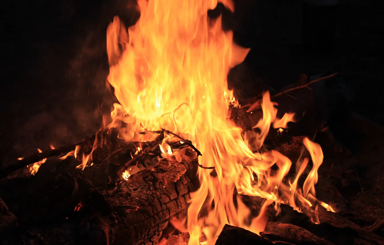 Фото обои огонь, пламя, костер, дрова, горит