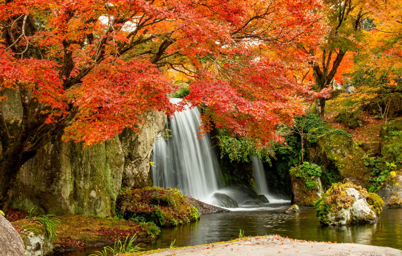 Фото обои осень, деревья, пейзаж, природа, камни, водопад