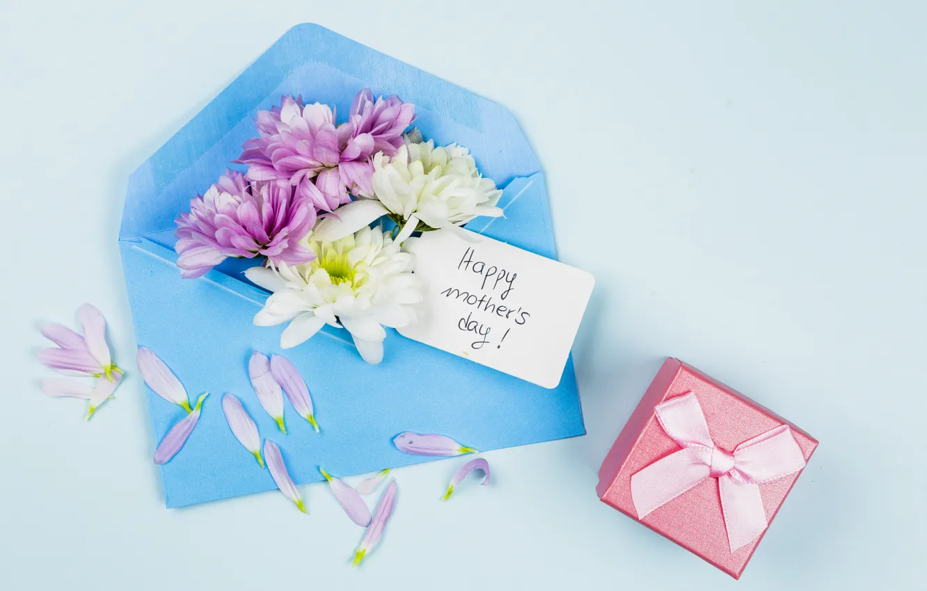 Фото обои цветы, фон, праздник, подарок, голубой, конверт, композиция, День Матери