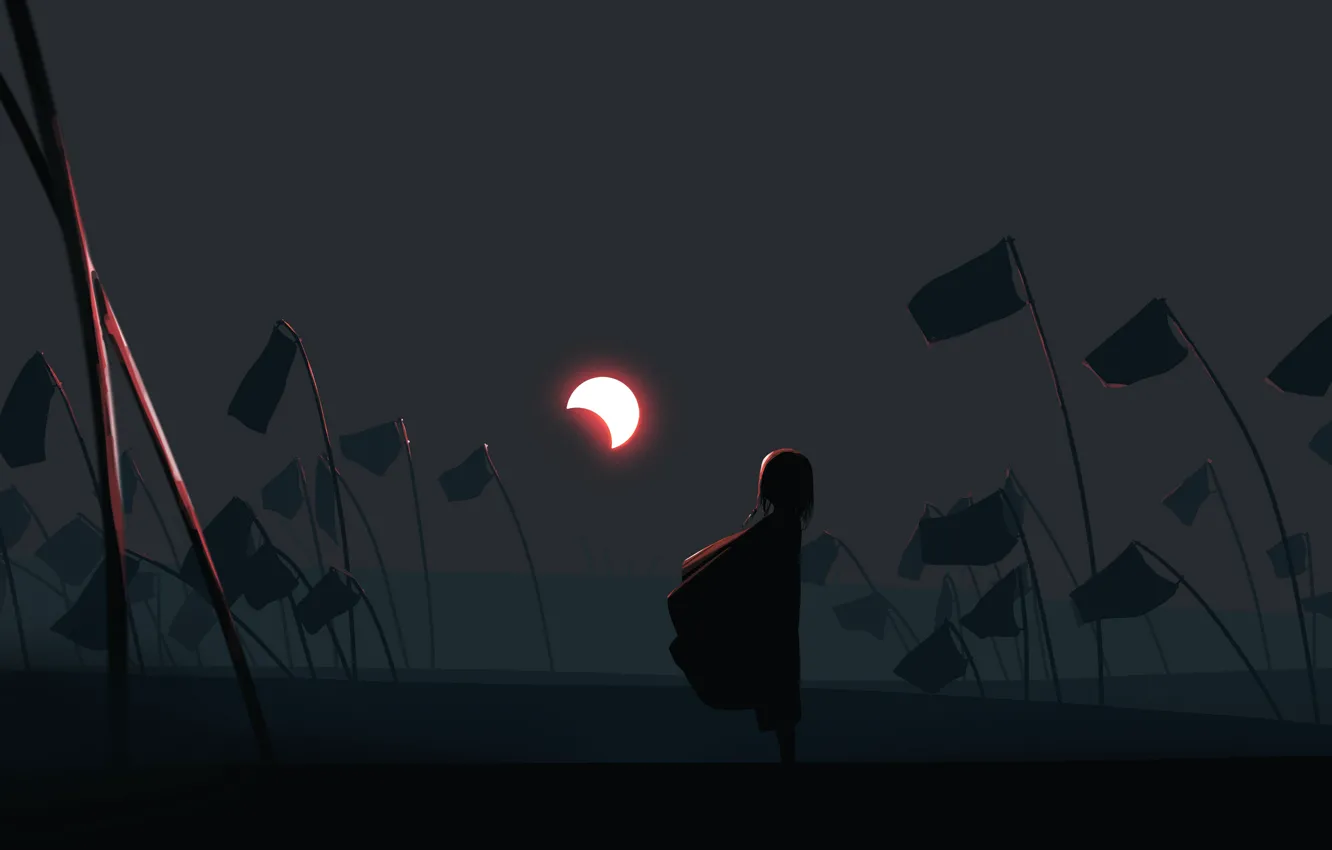 Фото обои ночь, туман, луна, девочка, флаги
