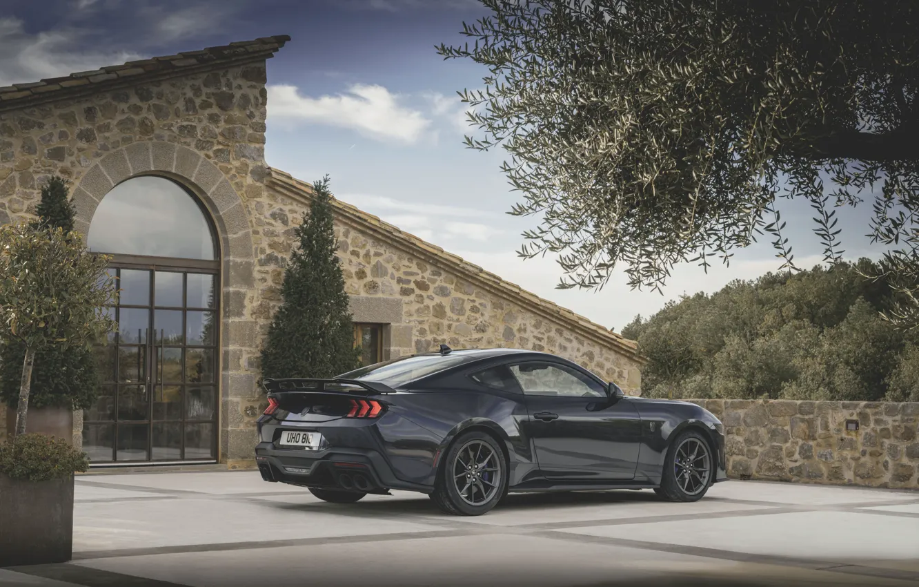 Фото обои Mustang, Ford, Ford Mustang Dark Horse