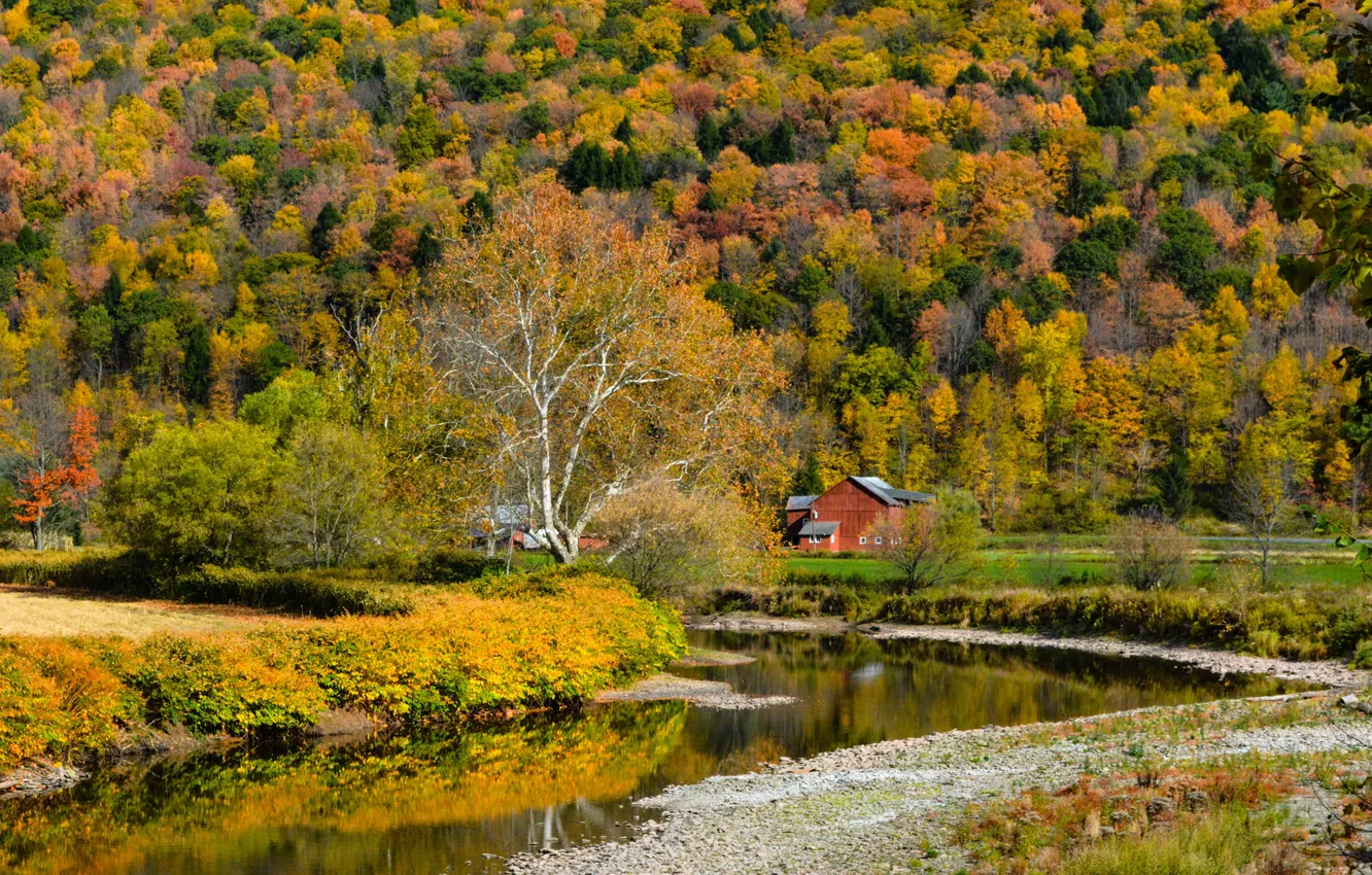 Фото обои осень, лес, горы, дом, река