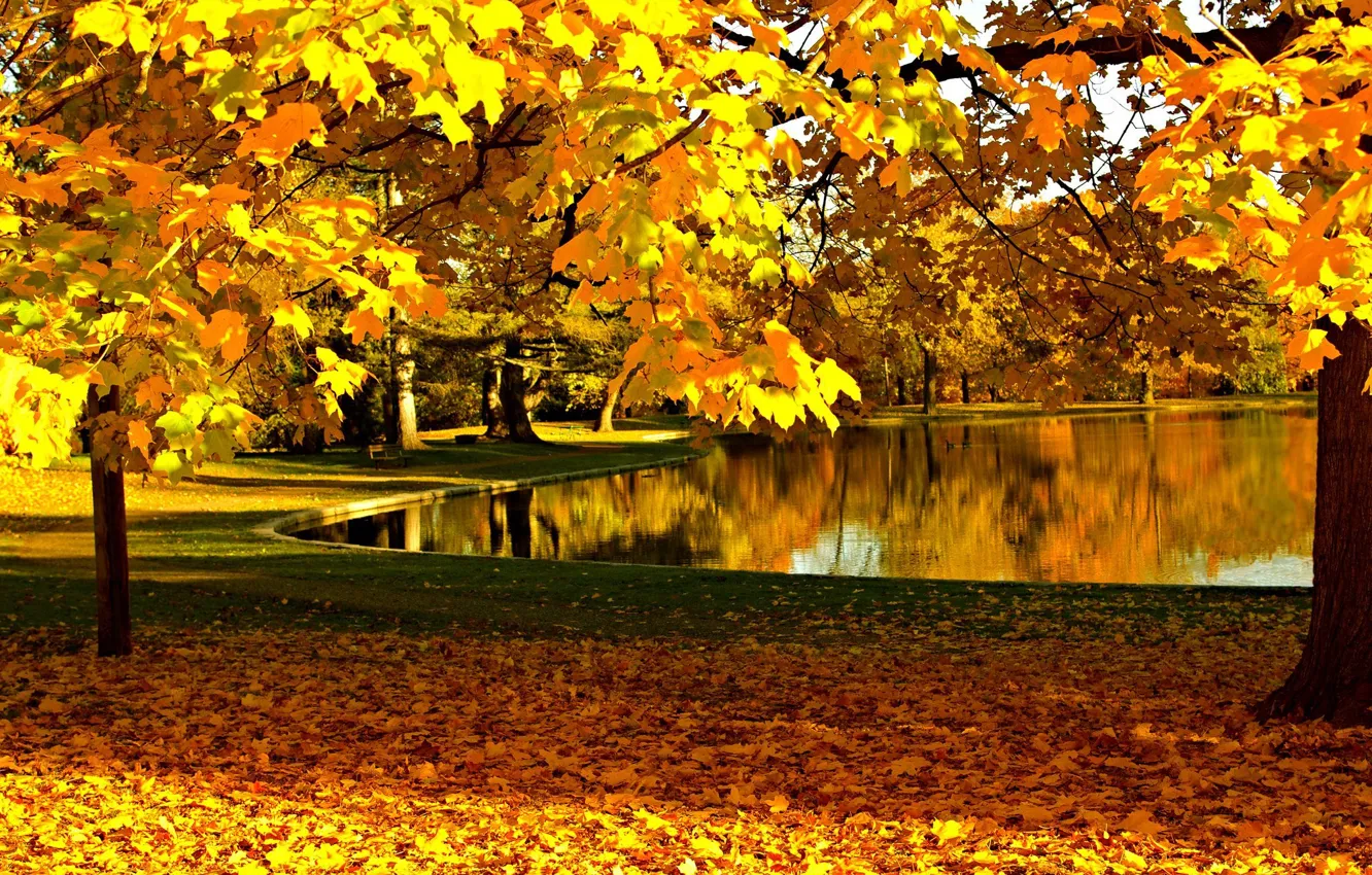 Фото обои осень, лес, небо, листья, вода, деревья, горы, природа