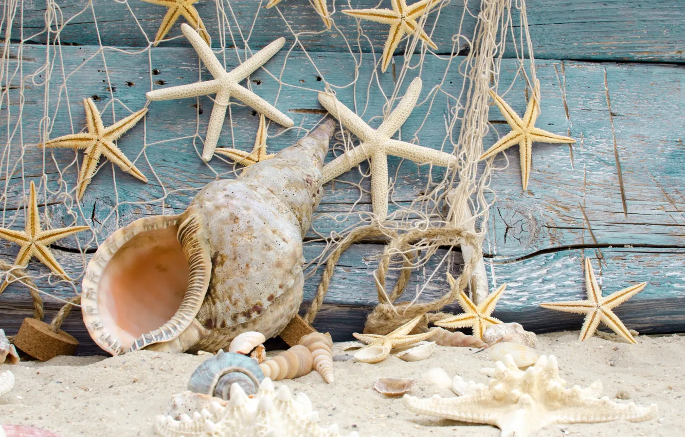 Фото обои песок, пляж, звезды, ракушки, beach, wood, sand, marine