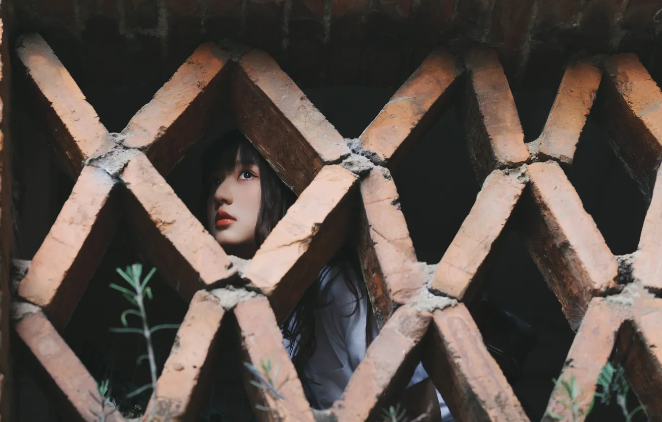 Фото обои Beautiful, Asian, Model, Wall, Woman, Cute, Pretty, Window