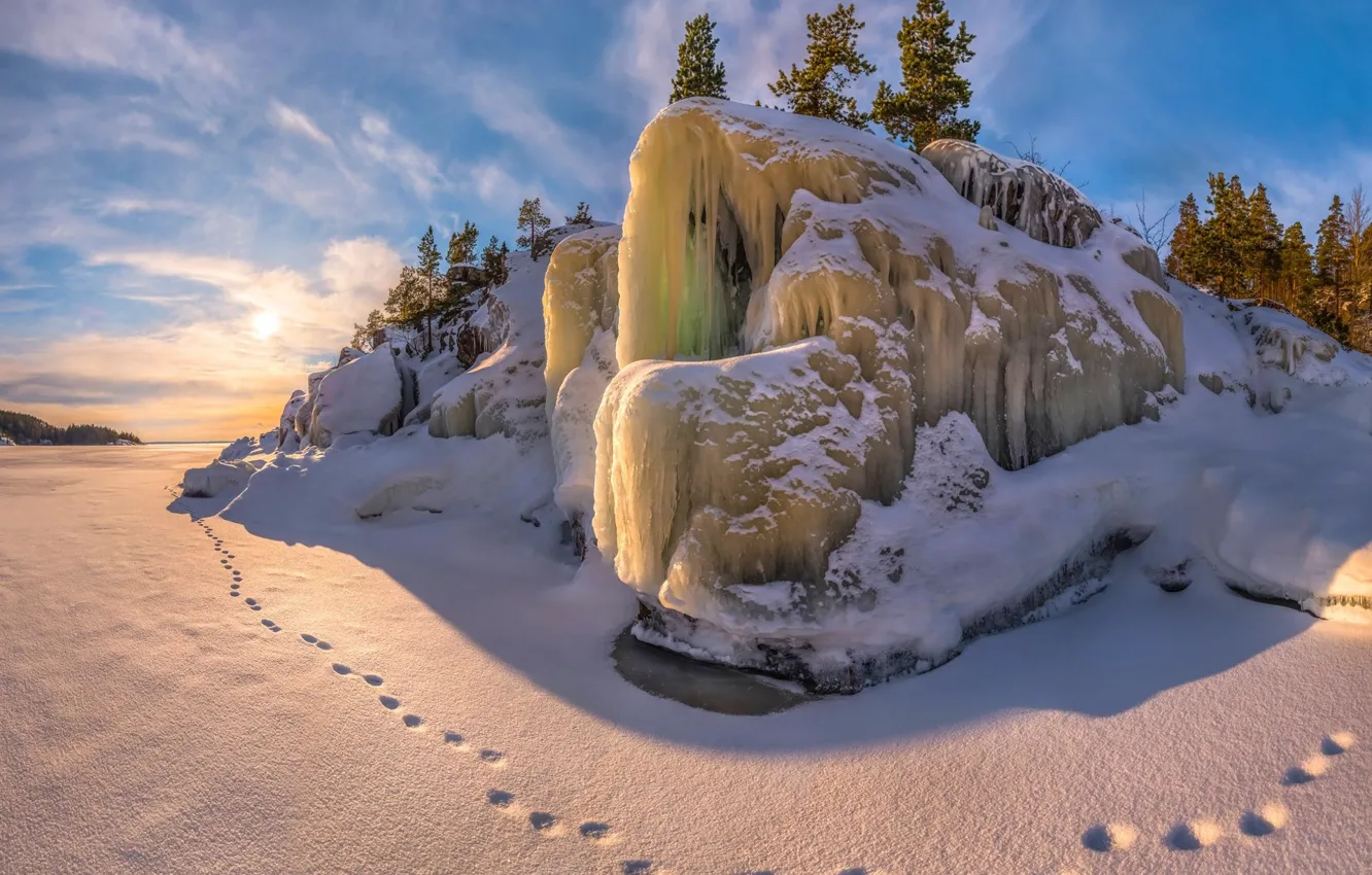 Фото обои лед, зима, снег, следы