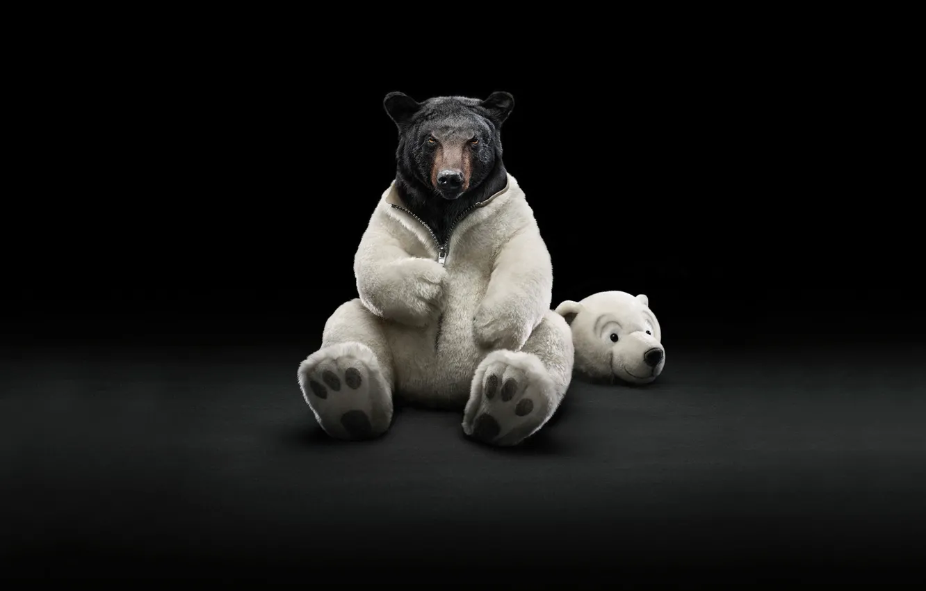 Фото обои медведь, костюм, шуба