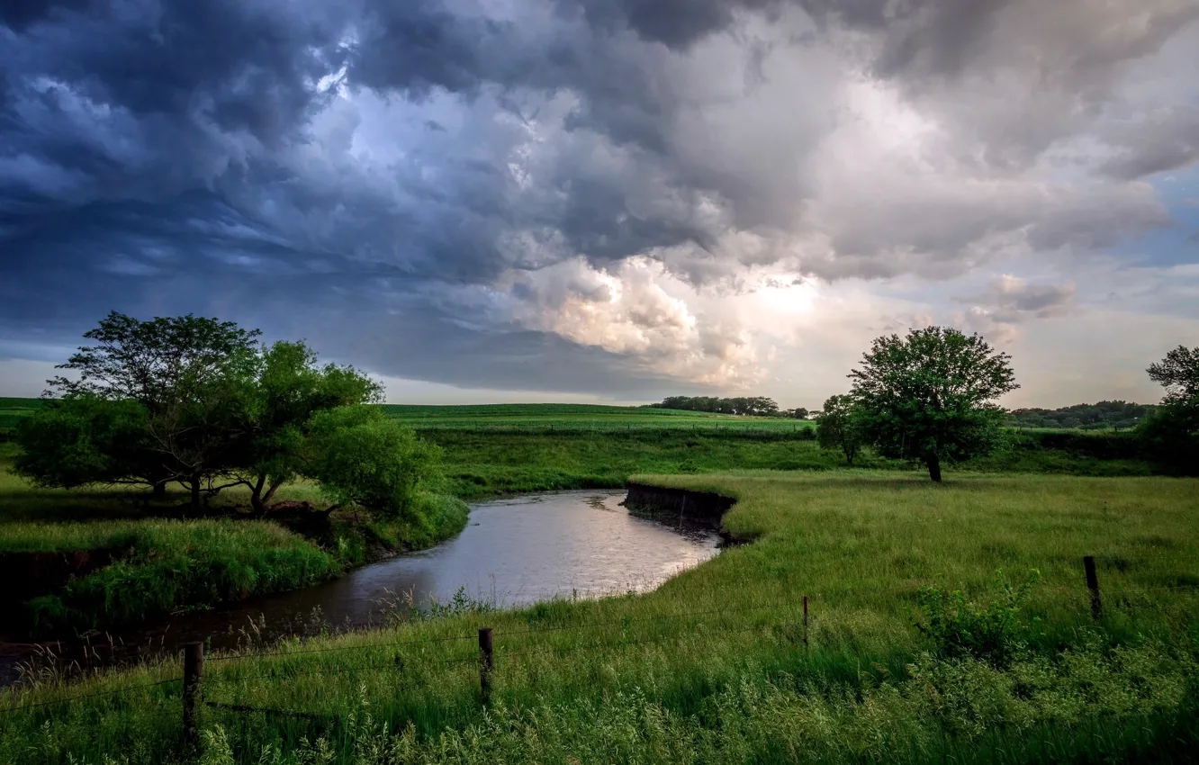 Фото обои поле, лето, река