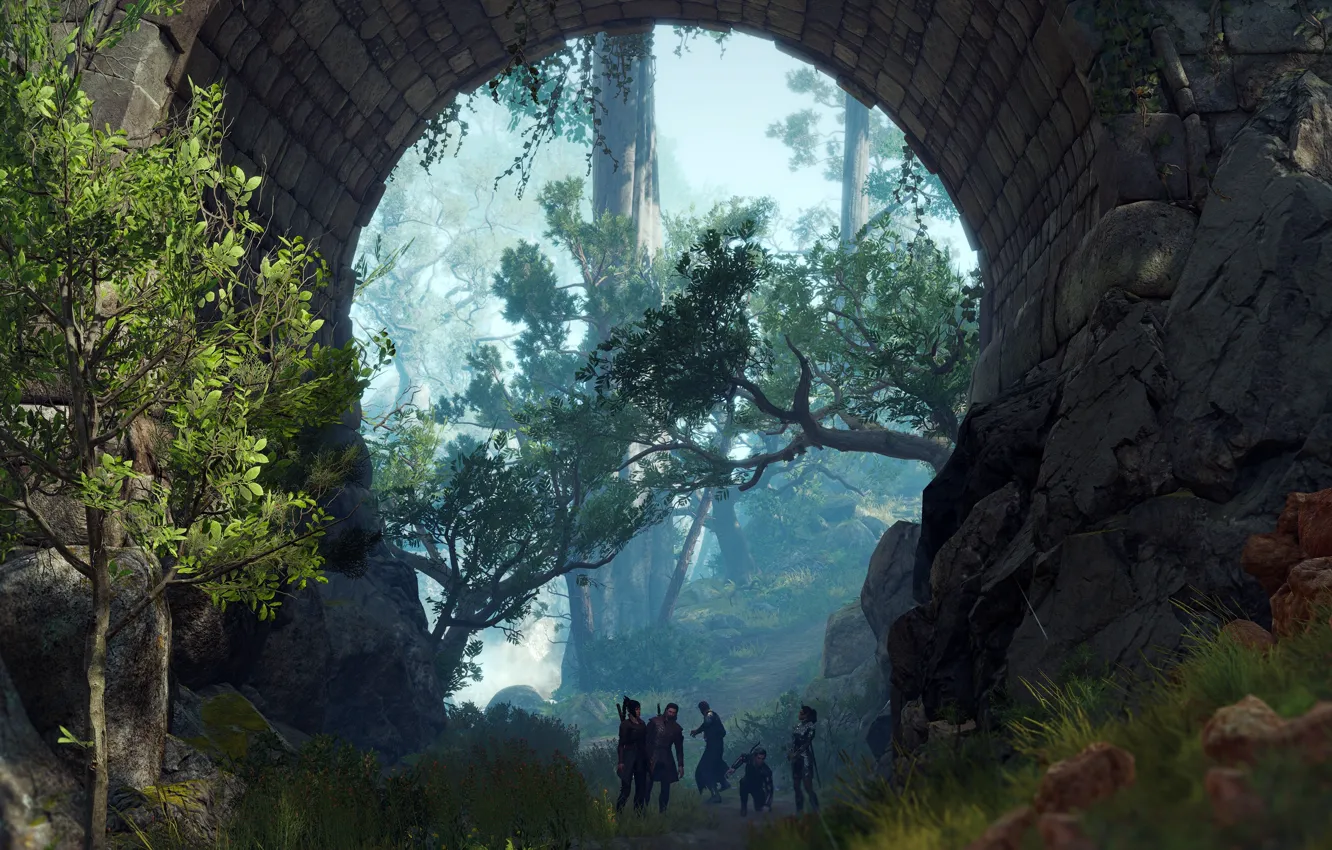 Фото обои лес, мост, люди, арка, Baldur's Gate III
