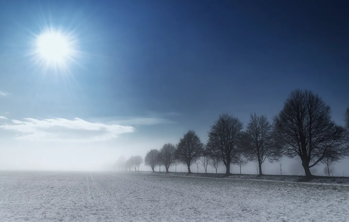 Фото обои небо, солнце, облака, снег, туман, земля, Деревья, Zan Foar