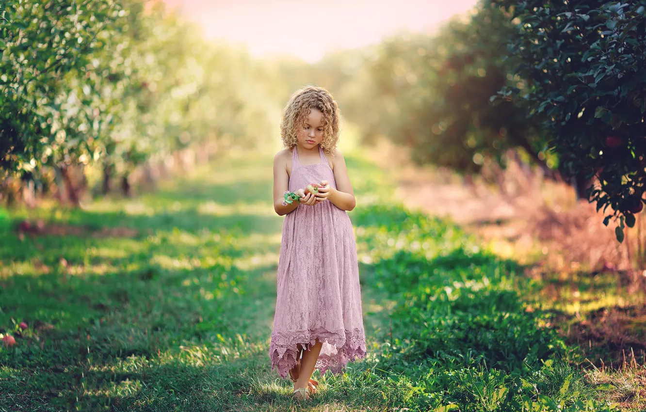 Фото обои природа, яблоки, девочка