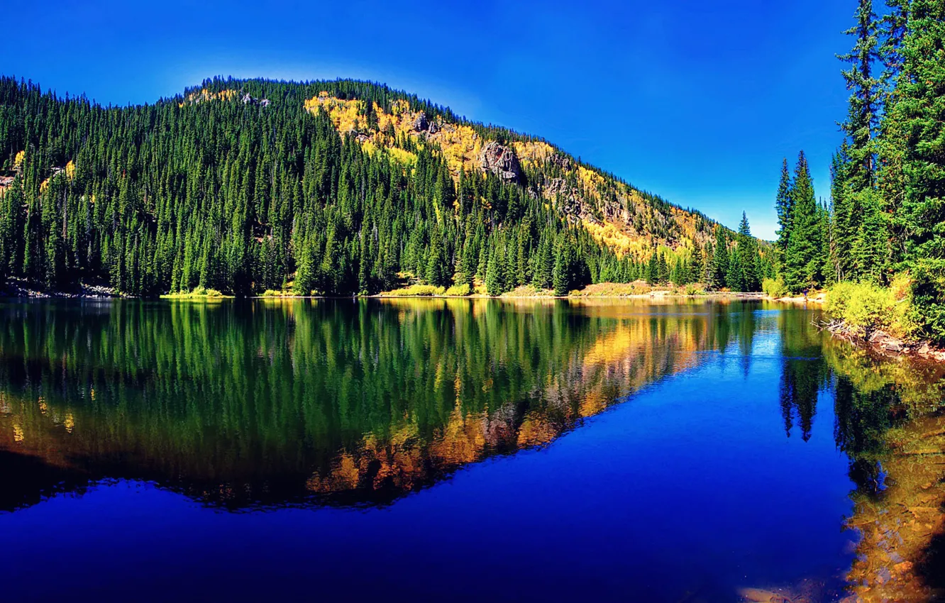 Фото обои лес, природа, горное озеро