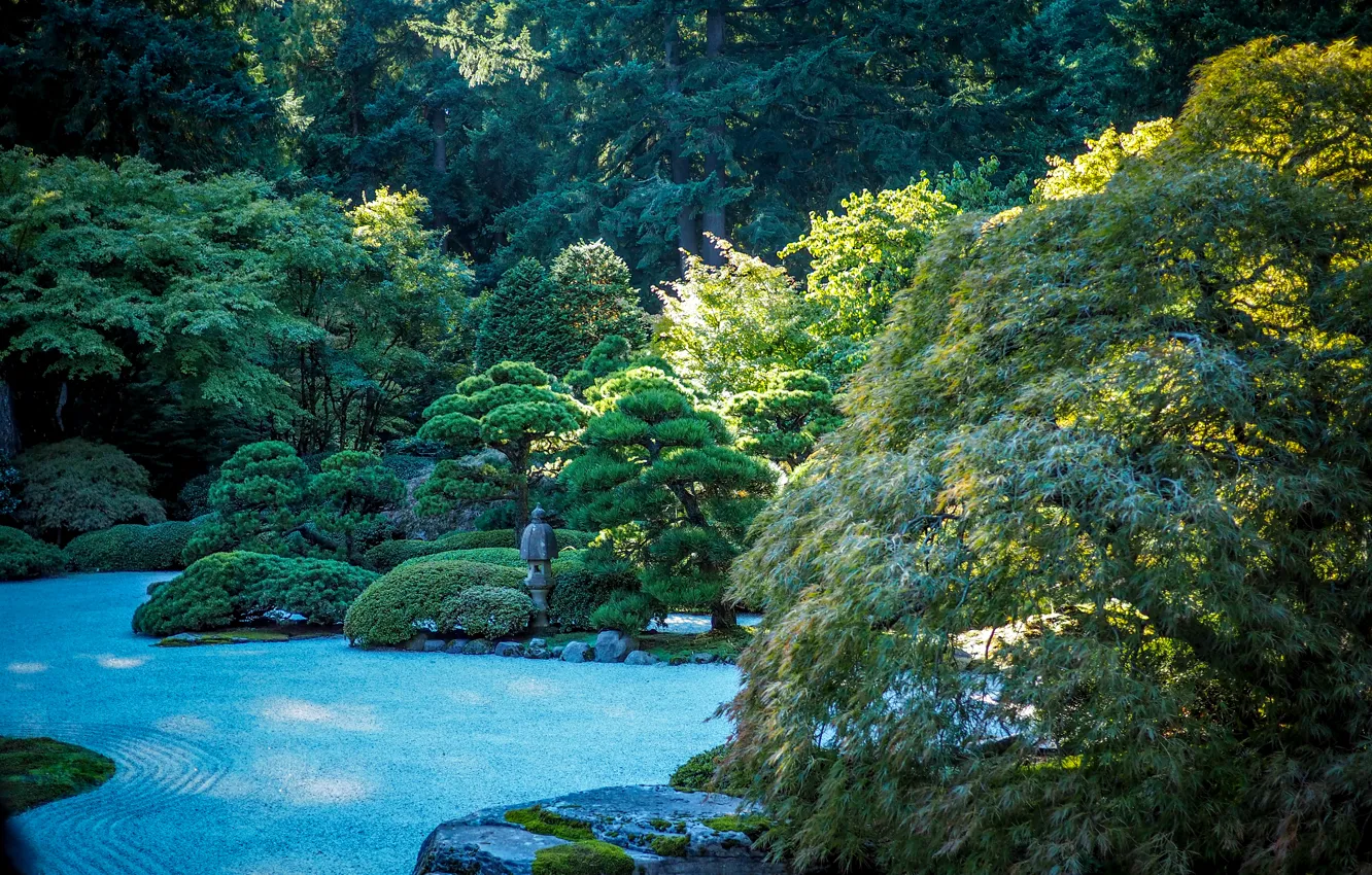 Фото обои зелень, деревья, камни, сад, США, гравий, кусты, Oregon
