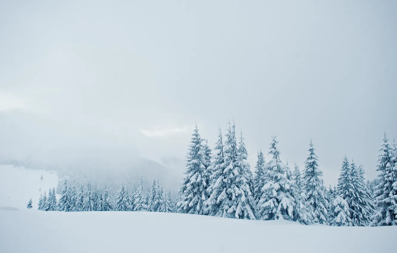 Фото обои зима, снег, деревья, горы, landscape, nature, winter, mountains