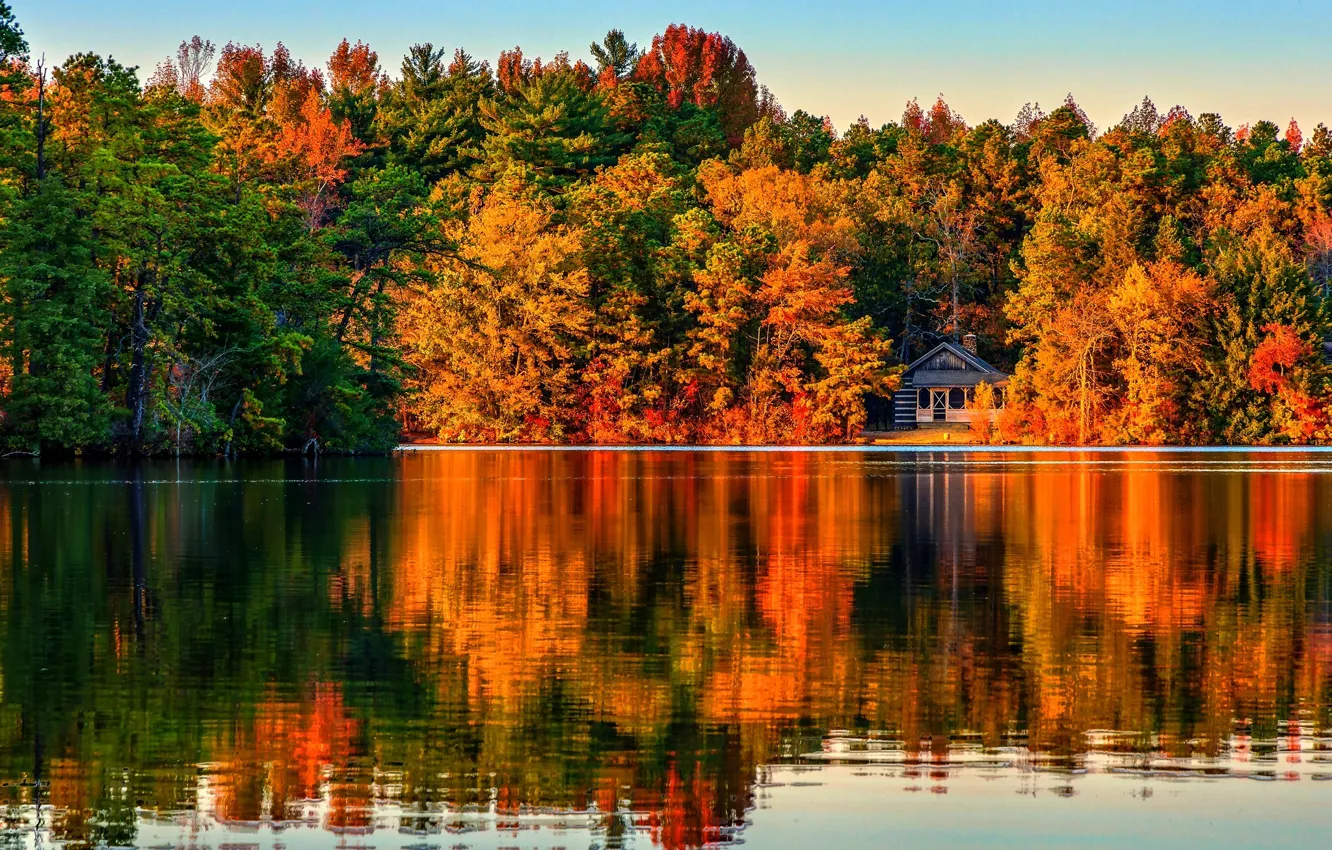Фото обои осень, лес, деревья, пейзаж, вилла, дома, Природа, house