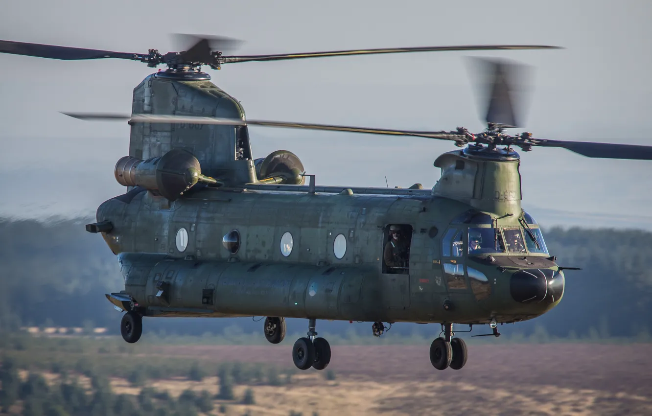 Фото обои CH-47 Chinook, Chinook, Royal Netherlands Air Force, ВВС Нидерландов, Boeing CH-47D Chinook