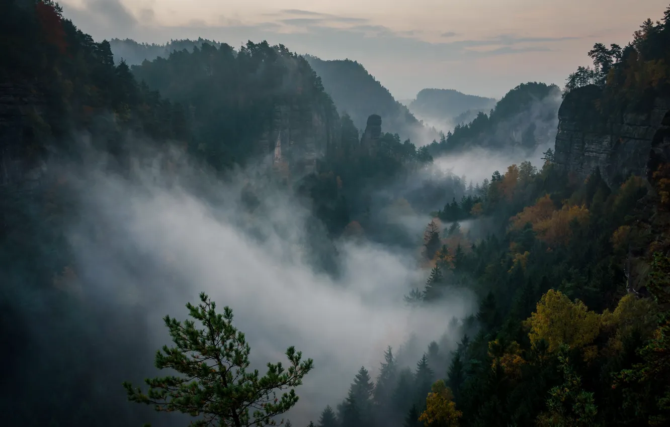 Фото обои лес, небо, облака, деревья, закат, горы, природа, скалы