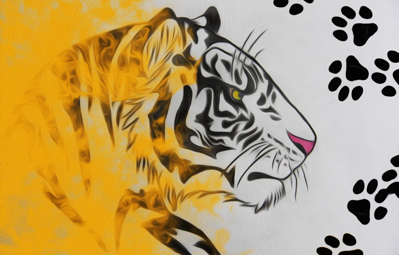 Фото обои следы, тигр, рисунок, рисунок карандашом