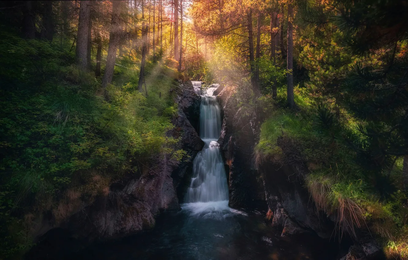 Фото обои лес, лучи, свет, деревья, водопад, полумрак