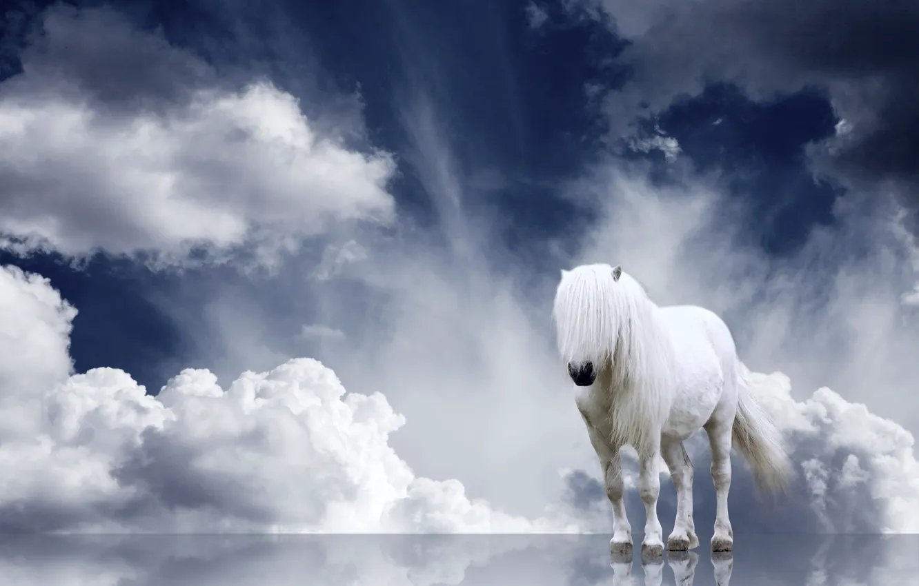 Фото обои облака, лошадь, грива