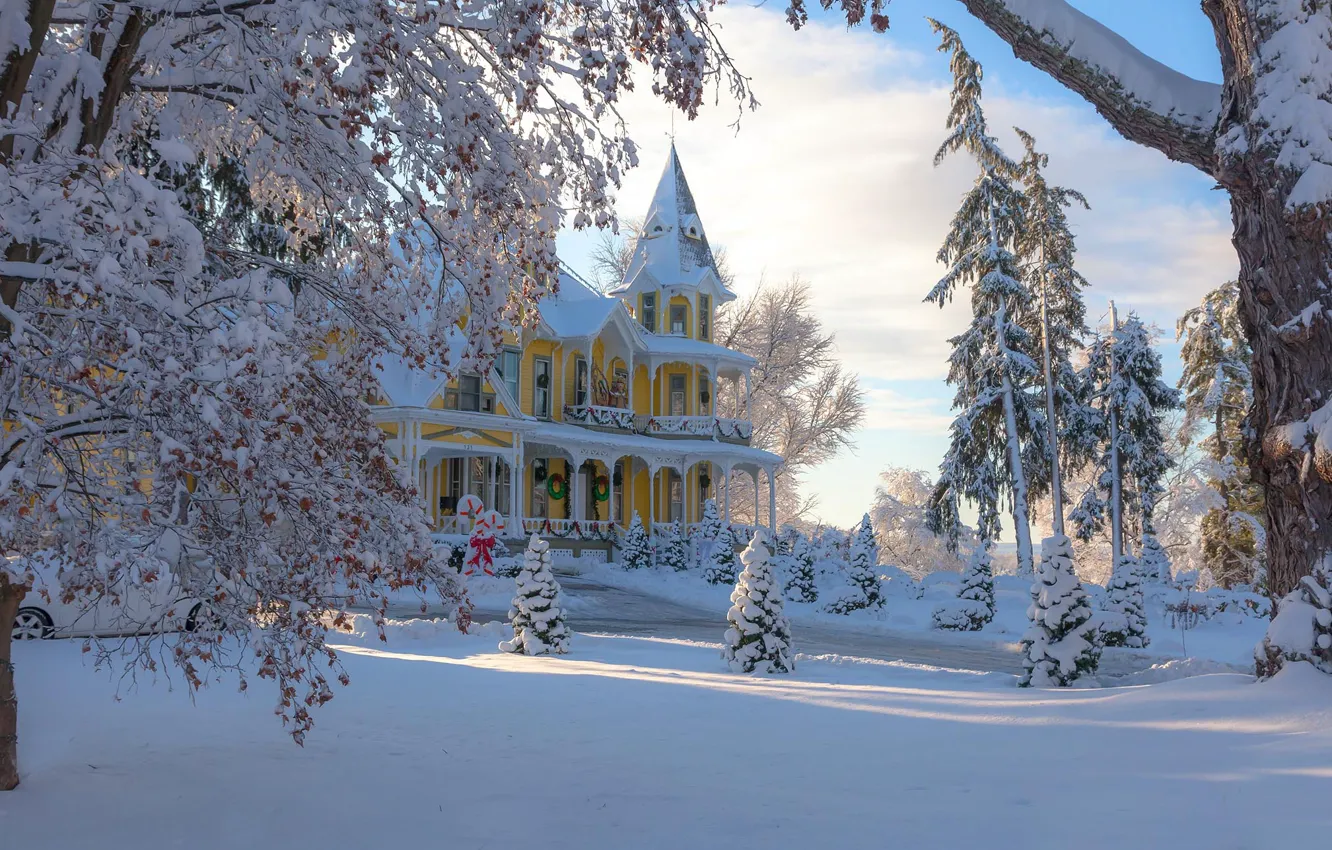 Фото обои зима, снег, деревья, дом, особняк, Нью-Джерси, Антонина Яновска