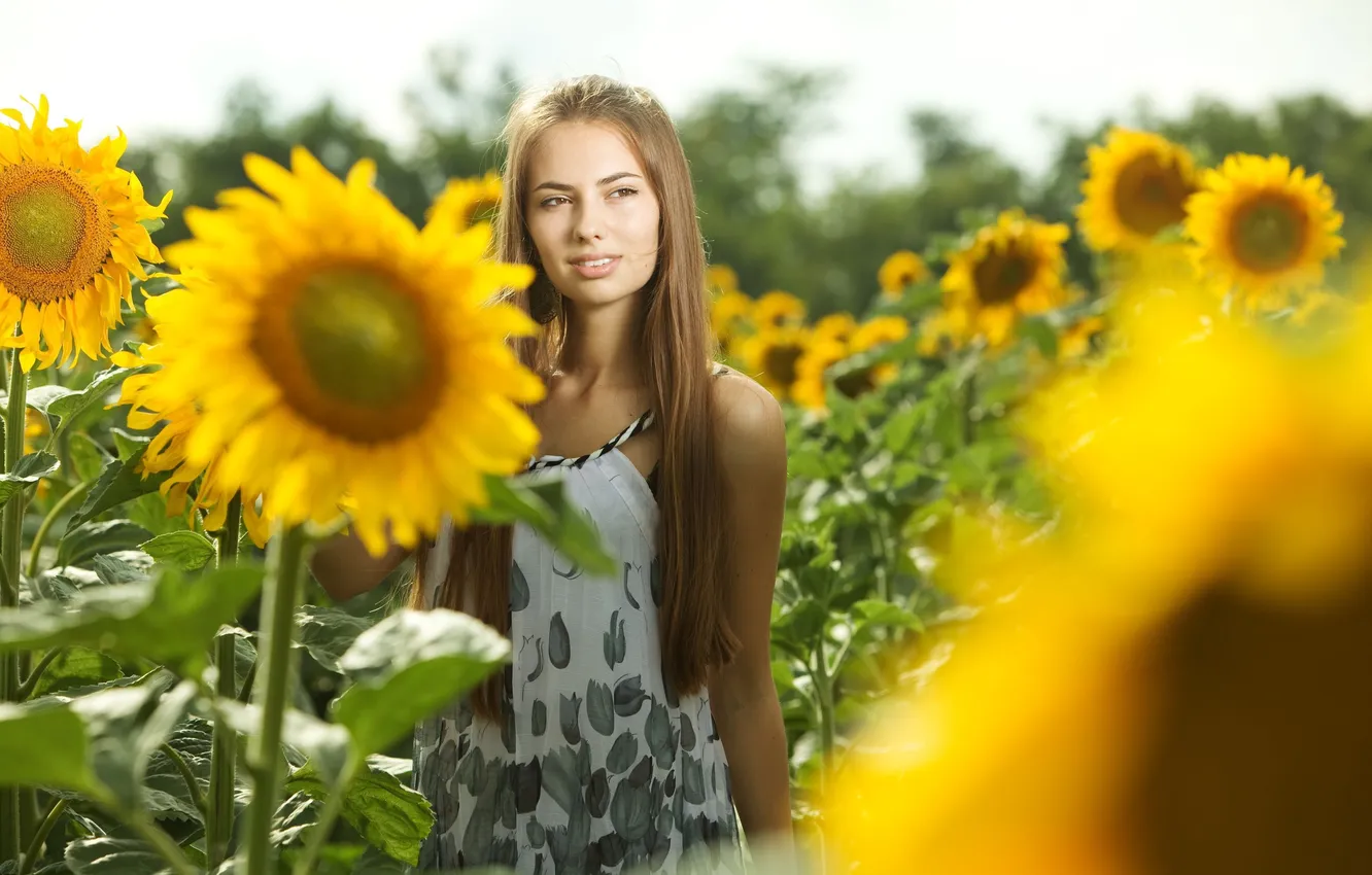 Фото обои поле, девушка, солнце, макро, подсолнухи, цветы, улыбка, фон