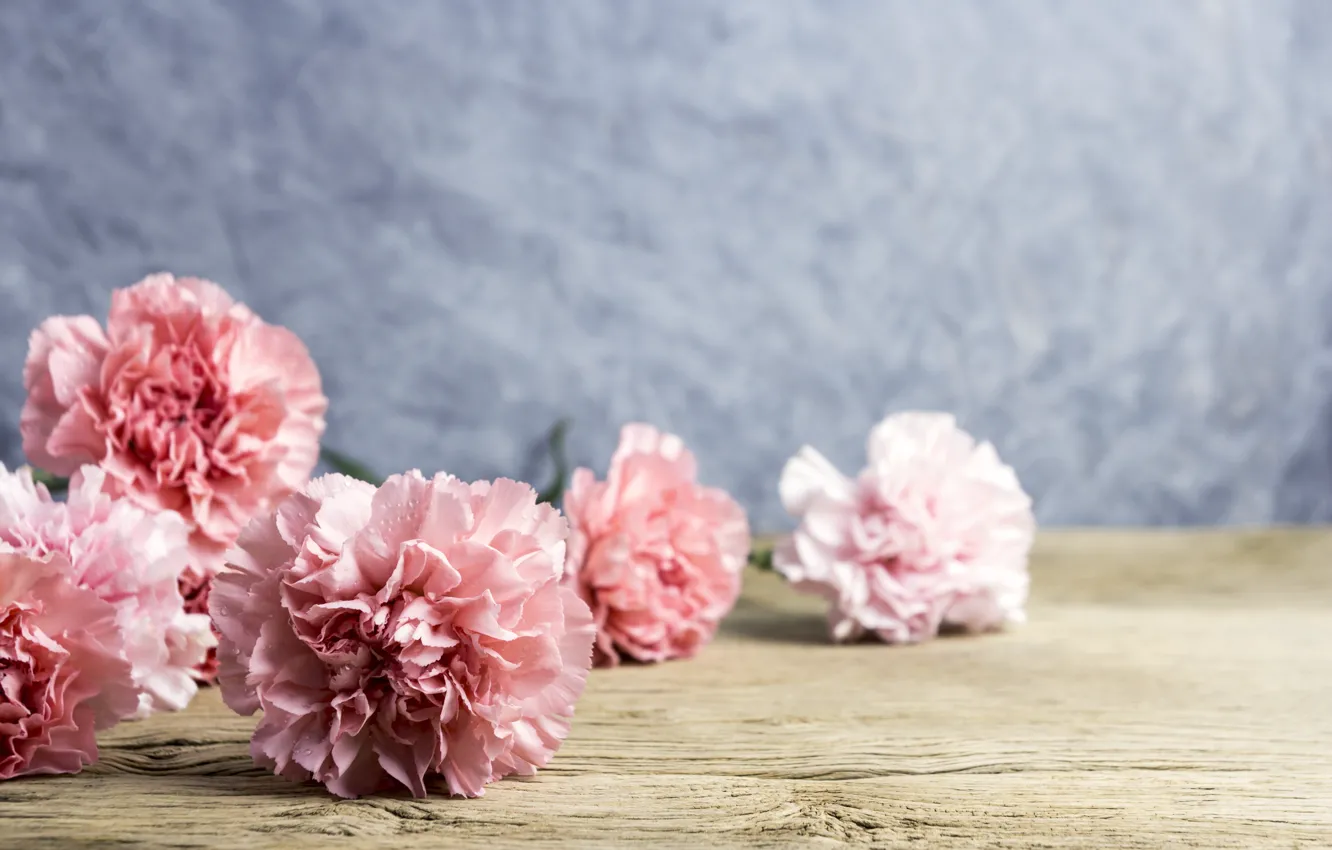 Фото обои цветы, лепестки, розовые, wood, pink, flowers, beautiful, гвоздики