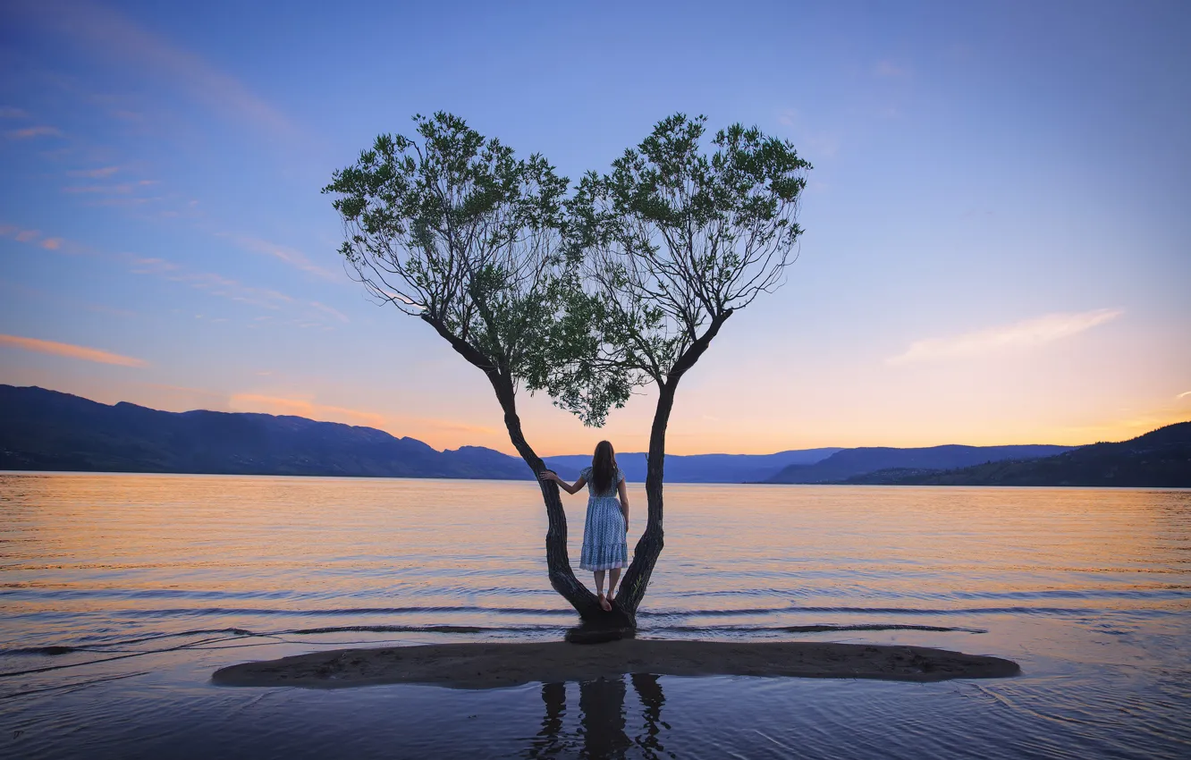 Фото обои девушка, озеро, дерево, платье, Home, Lichon