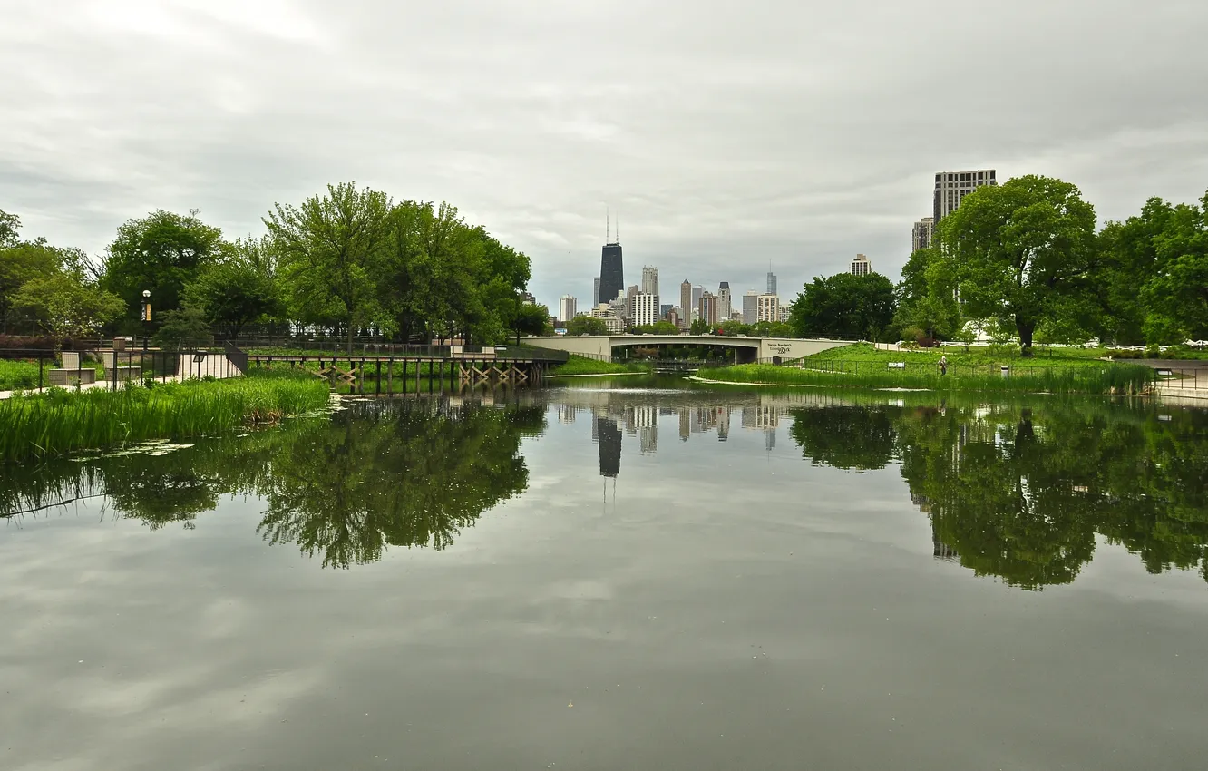 Фото обои зелень, город, река, небоскребы, Чикаго, Иллиноис