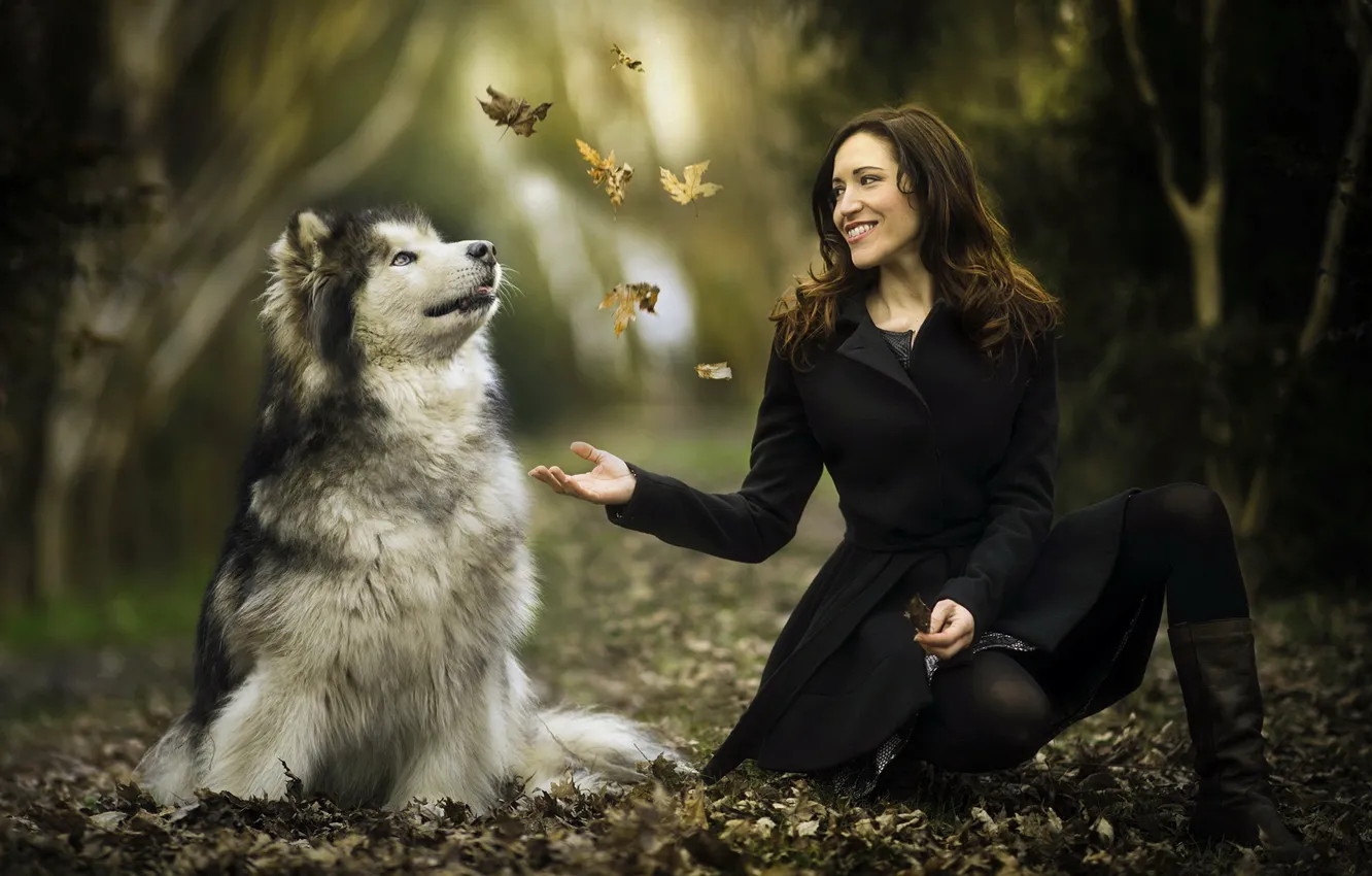 Фото обои листья, девушка, друг, собака, маламут