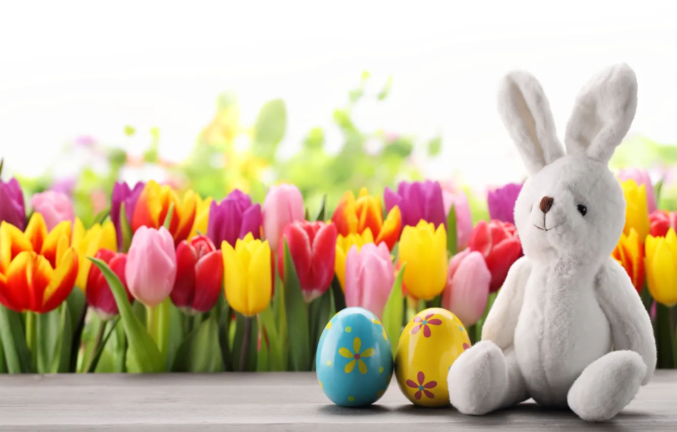 Фото обои цветы, яйца, весна, кролик, Пасха, тюльпаны, flowers, tulips