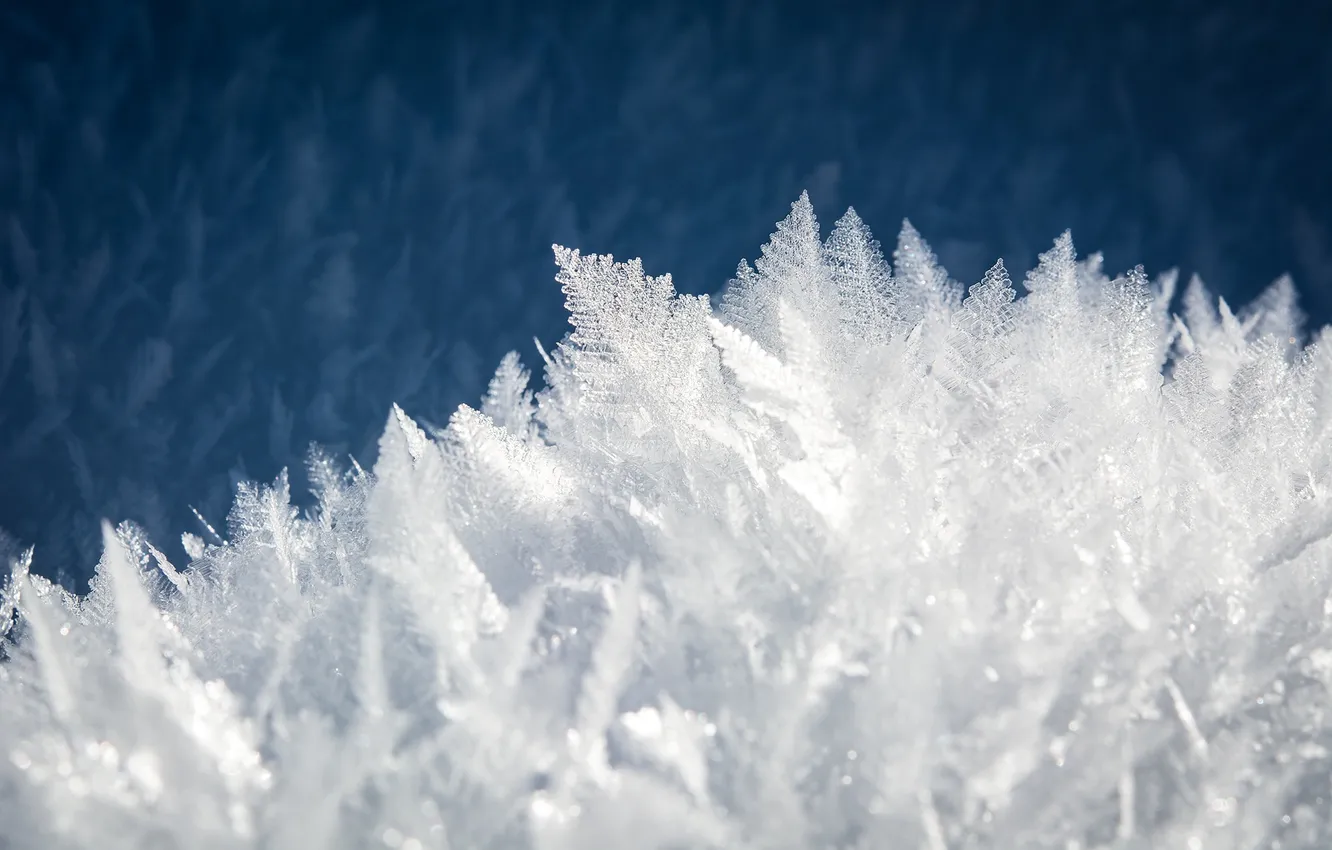 Фото обои ice, snow, drawing, frost