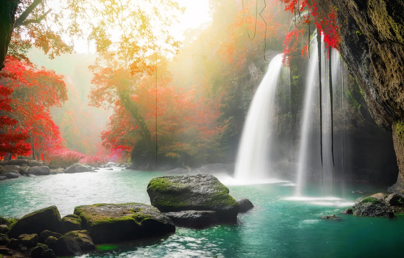 Фото обои осень, лес, вода, деревья, природа, река, камни, водопад