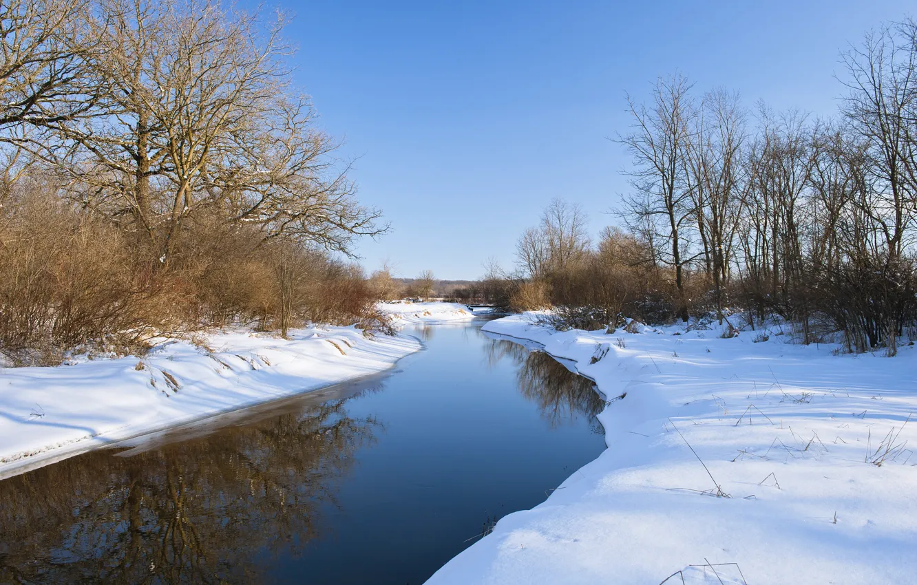 Фото обои зима, лес, снег, река, спокойствие