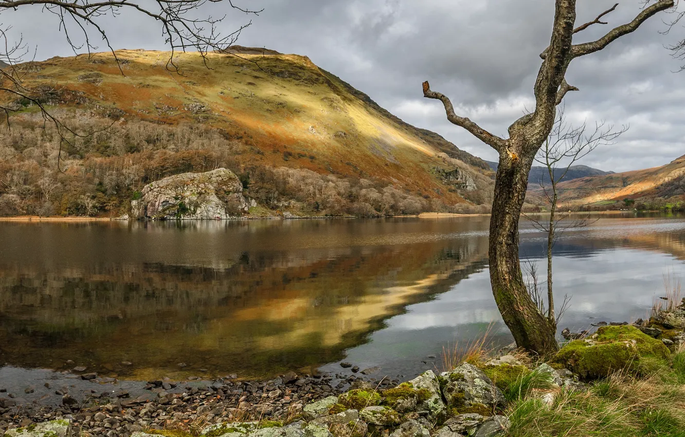 Фото обои озеро, Уэльс, Сноудония, Ллин Гвинант