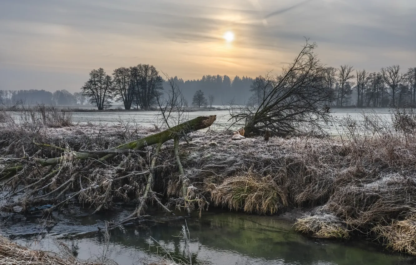 Фото обои зима, река, вечер