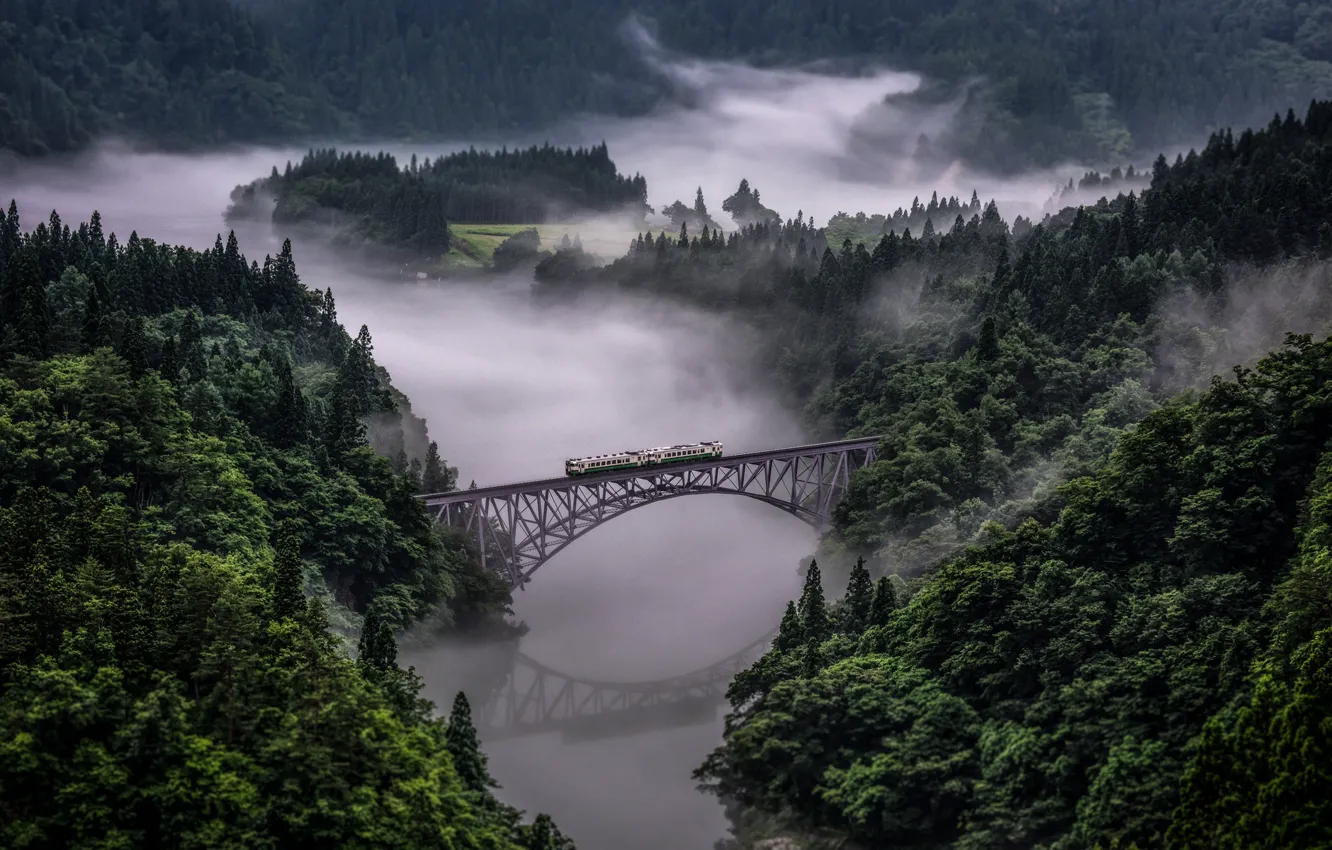 Фото обои лес, горы, мост, река, поезд, Tadami Line In Japan