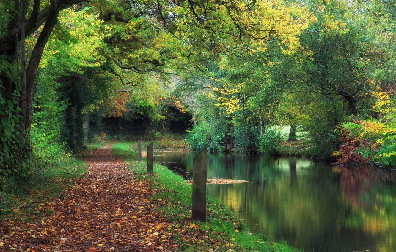 Фото обои осень, парк, канал, Великобритания, листопад, Уэльс, Wales, Llanover