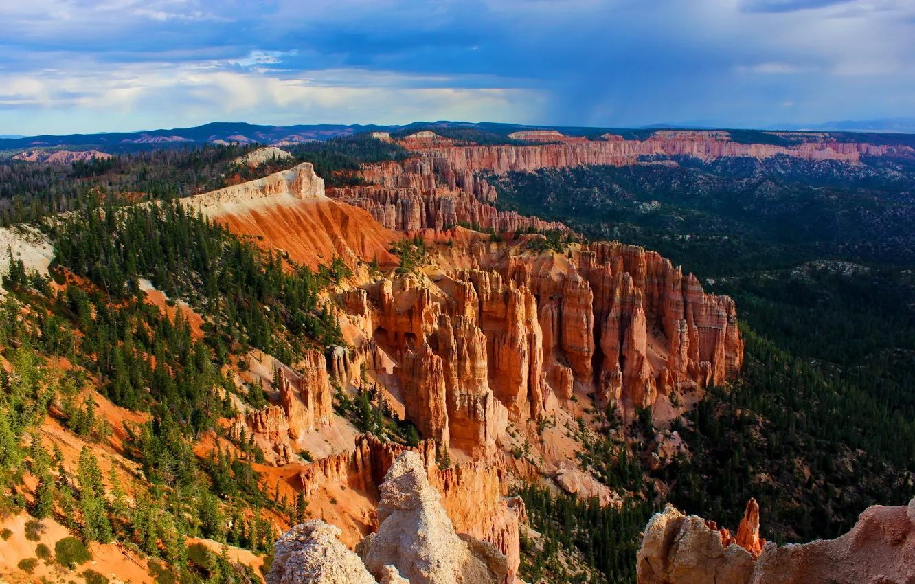 Фото обои лес, горы, Bryce Canyon National Park, осыпи