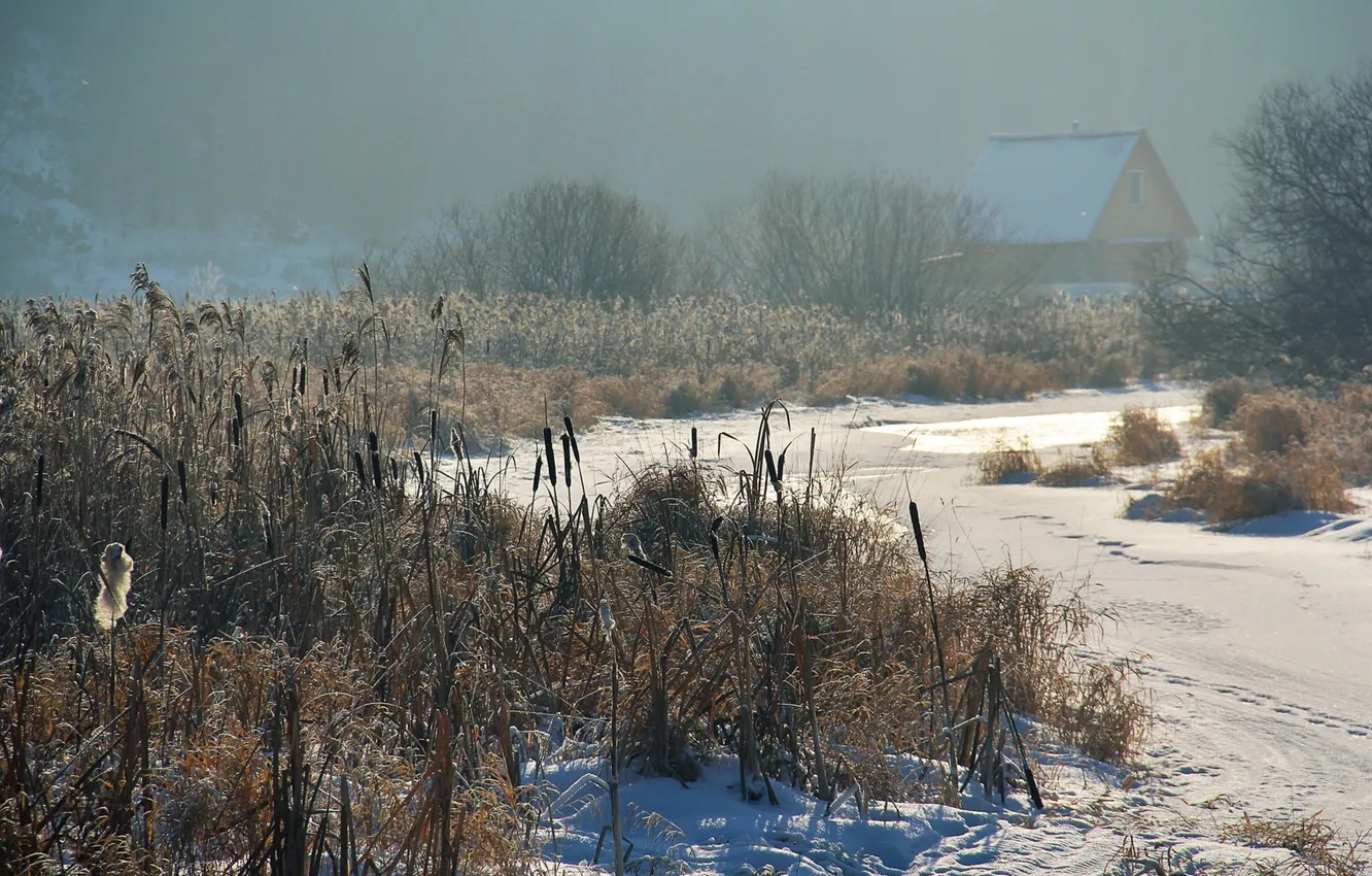 Фото обои зима, снег, дом, река, вечер, камыш