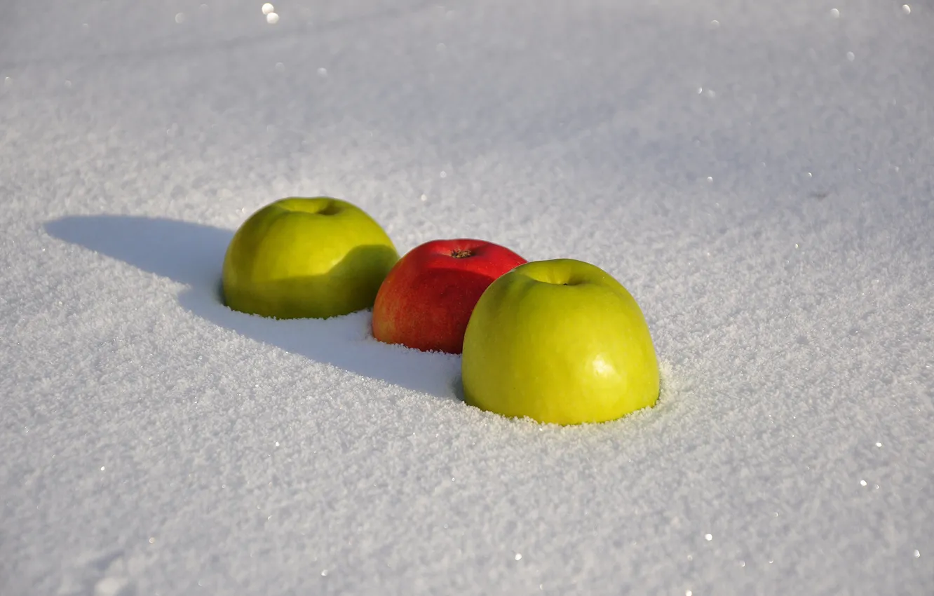 Фото обои зима, солнце, снег, фон, красное, widescreen, обои, яблоки