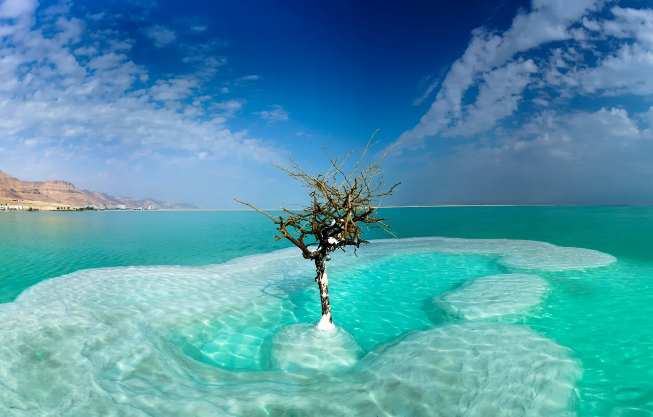 Фото обои море, небо, облака, дерево, Израиль, Dead Sea, Neve Zohar