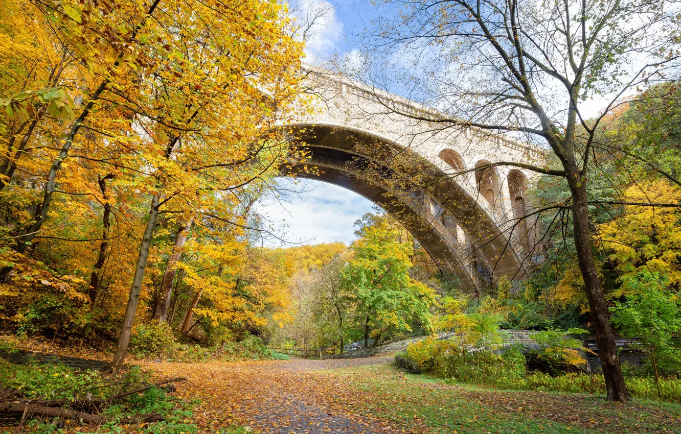 Фото обои фото, Природа, Осень, Деревья, Листья, Парк, США, Мосты