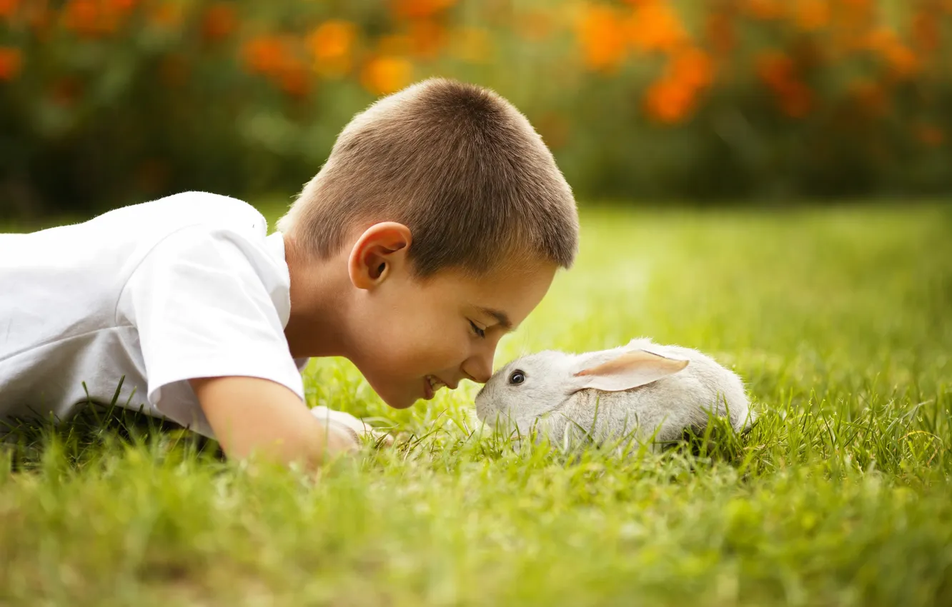 Фото обои трава, улыбка, мальчик, кролик