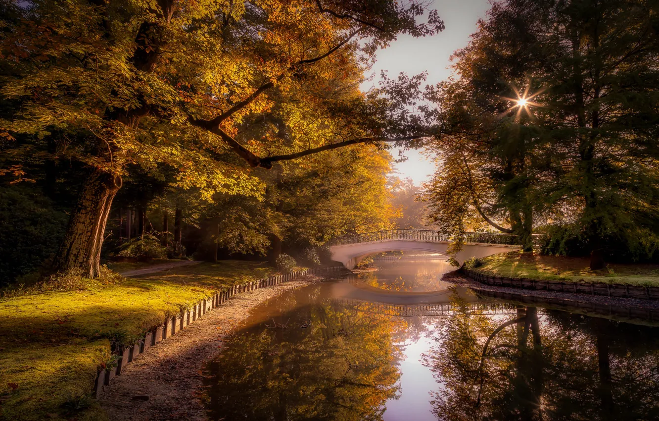 Фото обои деревья, пейзаж, природа, пруд, парк, дорожка, Нидерланды, мостик