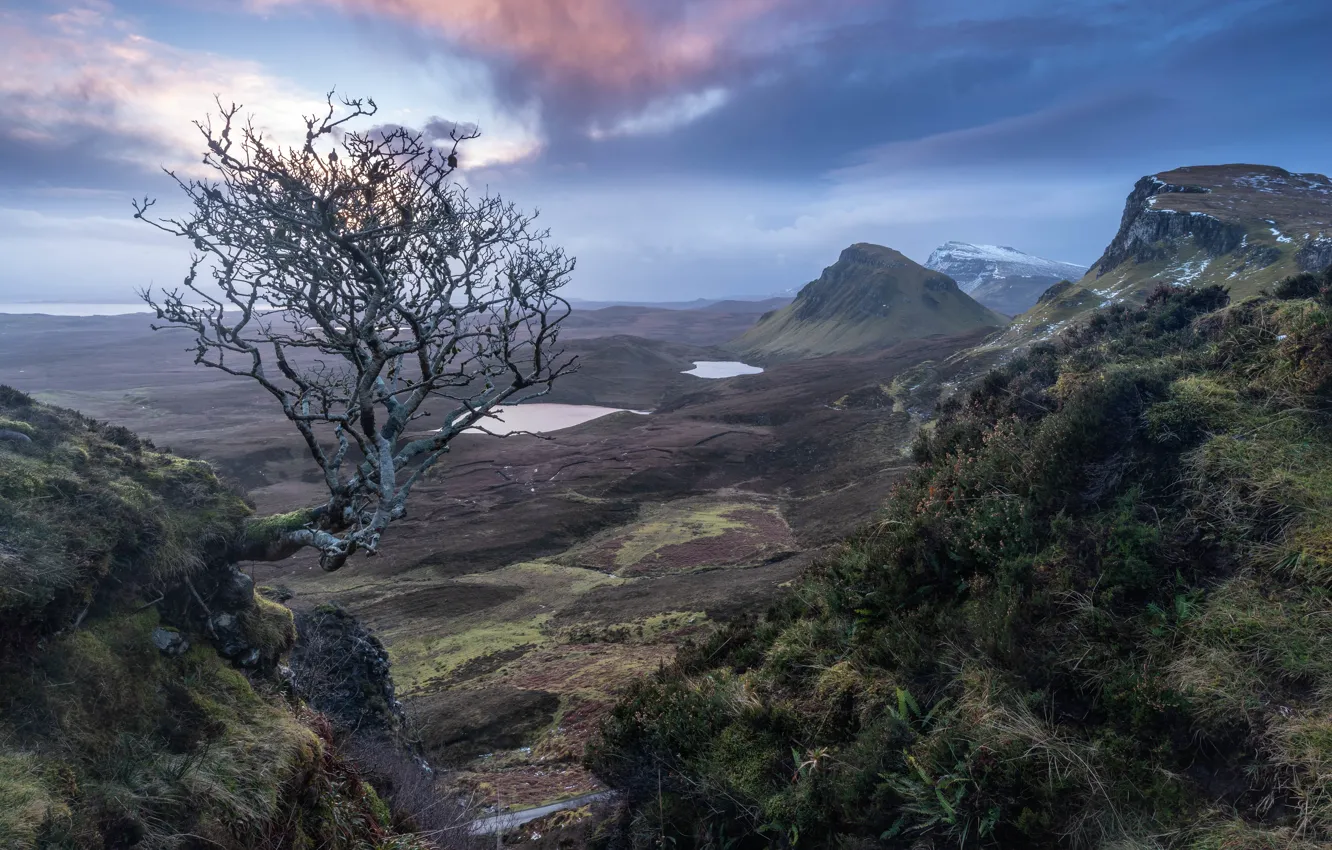 Фото обои горы, дерево, Шотландия