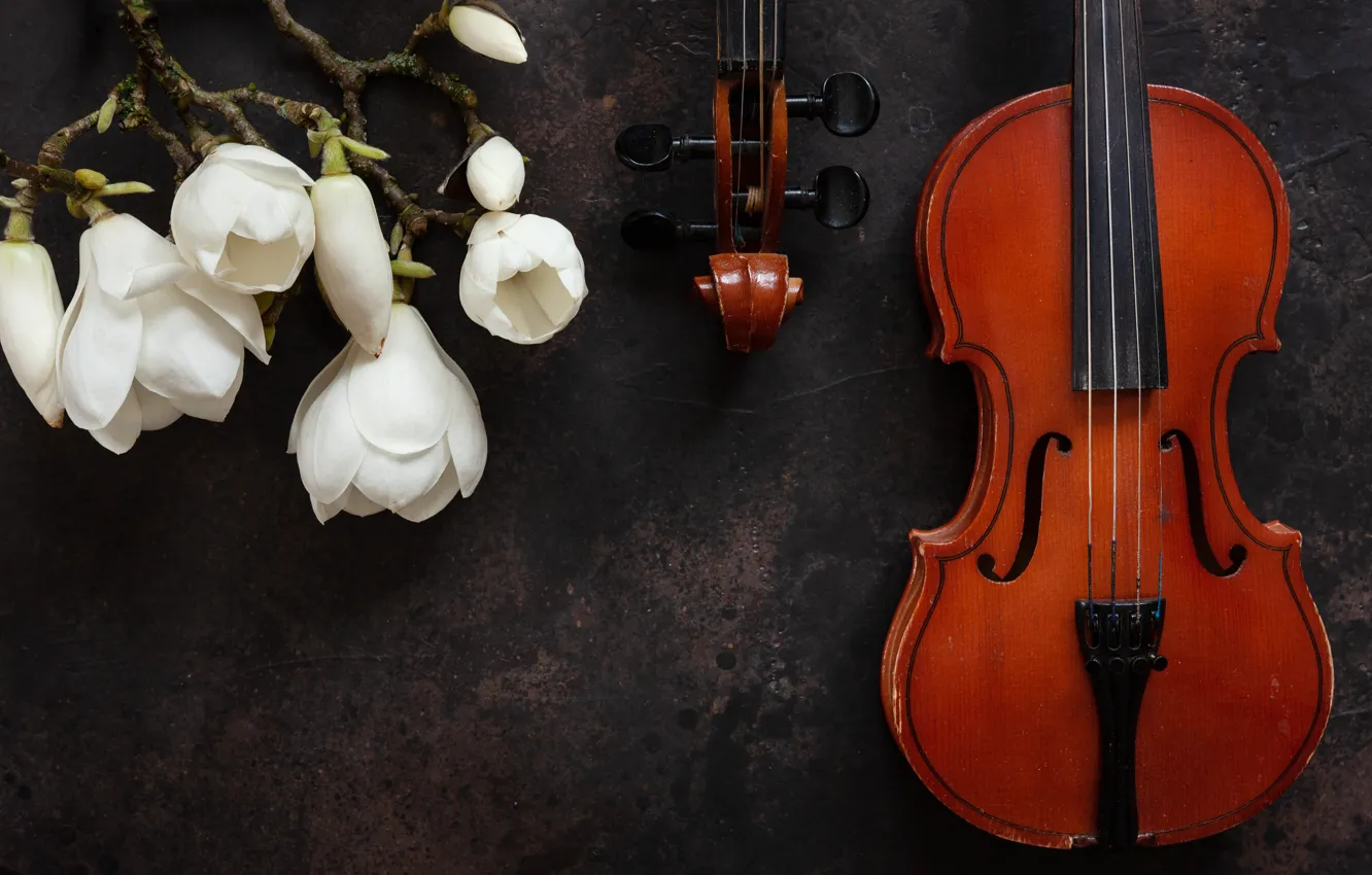 Фото обои цветы, скрипка, магнолии