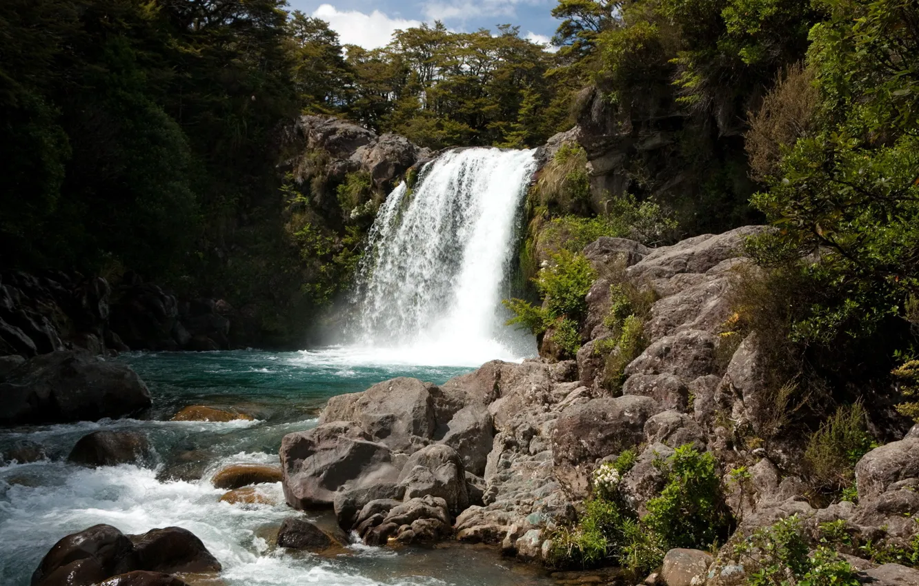 Фото обои лес, река, камни, скалы, водопад, New Zealand