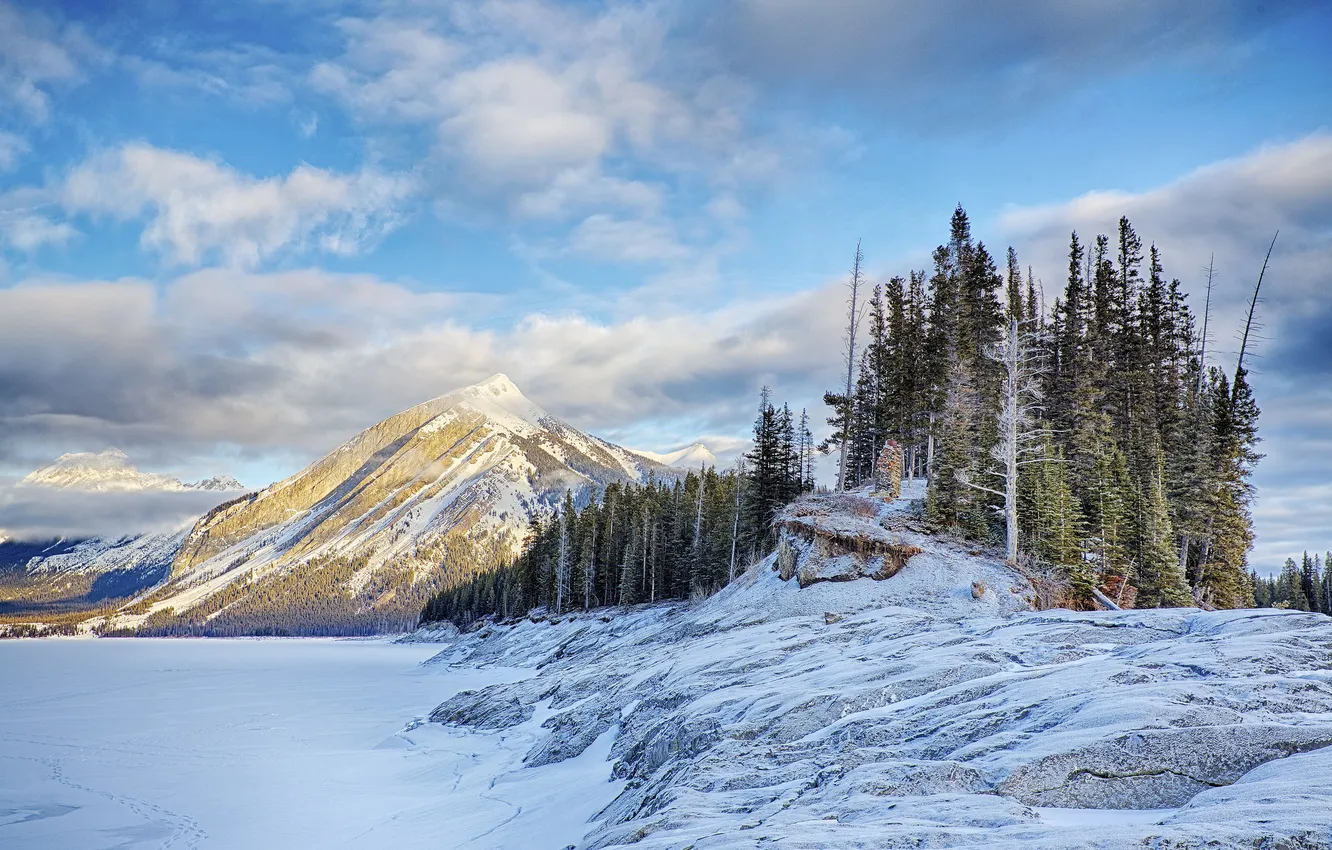 Фото обои лед, зима, небо, снег, деревья, горы, озеро, скалы